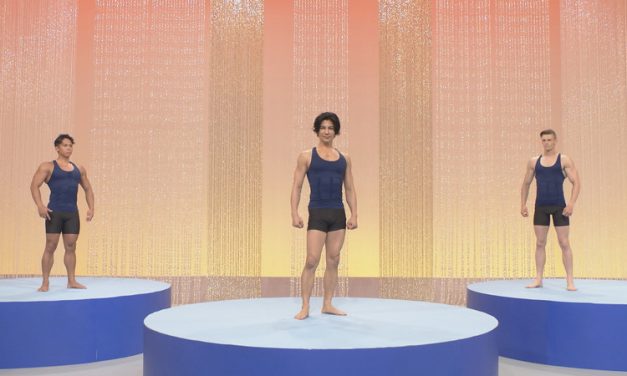 【みんなで筋肉体操】村雨辰剛さんの言うスウェーデンの離婚事情は実はみんなが思うほどポジティブではない話