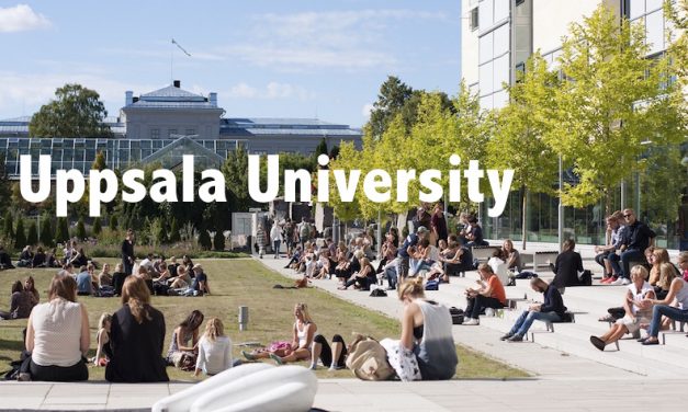 【北欧最古の大学】スウェーデン・ウプサラ大学留学記 – Arrival Day –