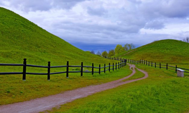 【ウプサラに曽爾高原？】観光名所をまわってみる in ウプサラ