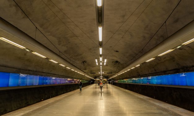 【ストックホルム地下鉄アート】Bagarmossen