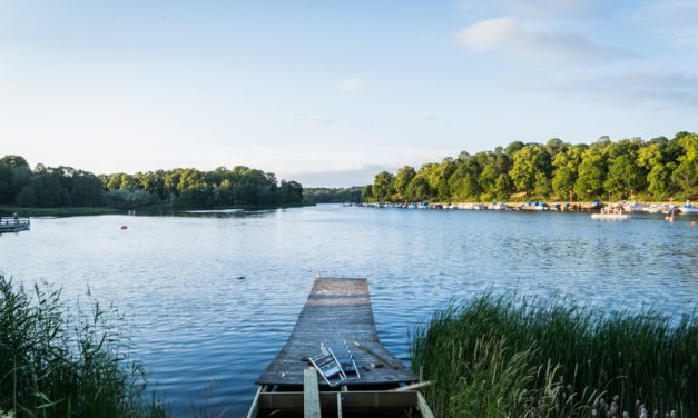 【北欧の穴場】ストックホルムで絶対歩くべき森の中の散歩道 HAGA PARK （The Royal National City Park）